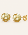 Golden South Sea Pearl Stud Earrings