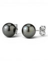 Prestige Pearl 9.5-10mm round black Tahitian pearl stud earrings with polished gold posts on a white background.