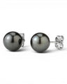 Prestige Pearl 9-9.5mm round black Tahitian pearl stud earrings with polished gold posts on a white background.