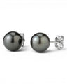 Prestige Pearl 10-10.5mm round black Tahitian pearl stud earrings with polished gold posts on a white background.