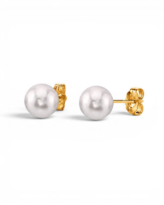 Prestige Pearl 6.5–7mm white Akoya pearl stud earrings with polished yellow gold posts and secure butterfly backs.