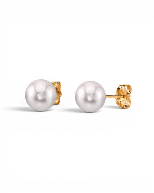 Prestige Pearl 5.5-6mm white round Akoya pearl stud earrings with polished yellow gold posts and butterfly backs.