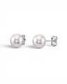 Prestige Pearl 5-5.5mm round white Akoya pearl stud earrings with secure gold butterfly backs on a white background.