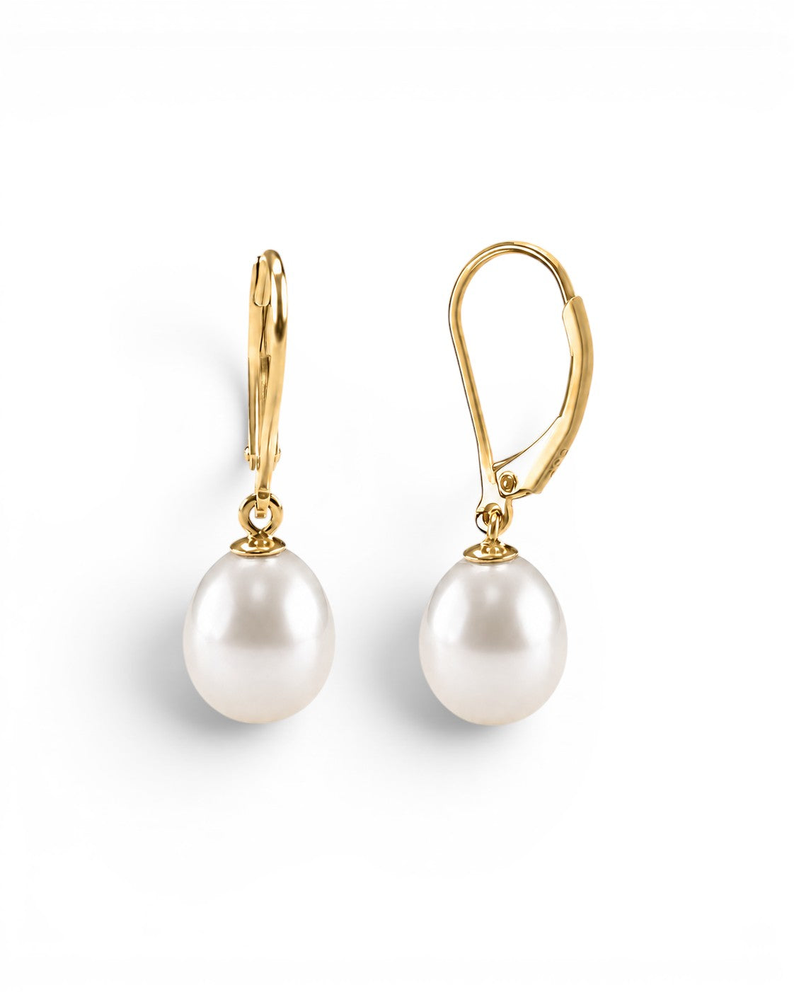 Prestige Pearl white freshwater pearl drop earrings with polished yellow gold leverback settings on a white background.