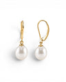 Prestige Pearl white freshwater pearl drop earrings with polished yellow gold leverback settings on a white background.